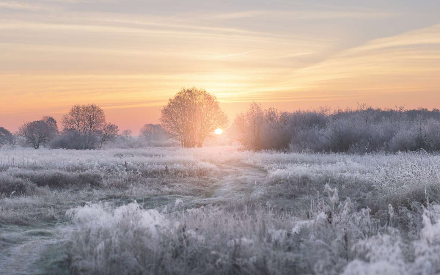 découvrez l'importance de l'ensoleillement en hiver, ses effets sur notre bien-être et nos activités quotidiennes. apprenez comment maximiser votre exposition au soleil pendant les mois les plus froids pour rester en forme et de bonne humeur.