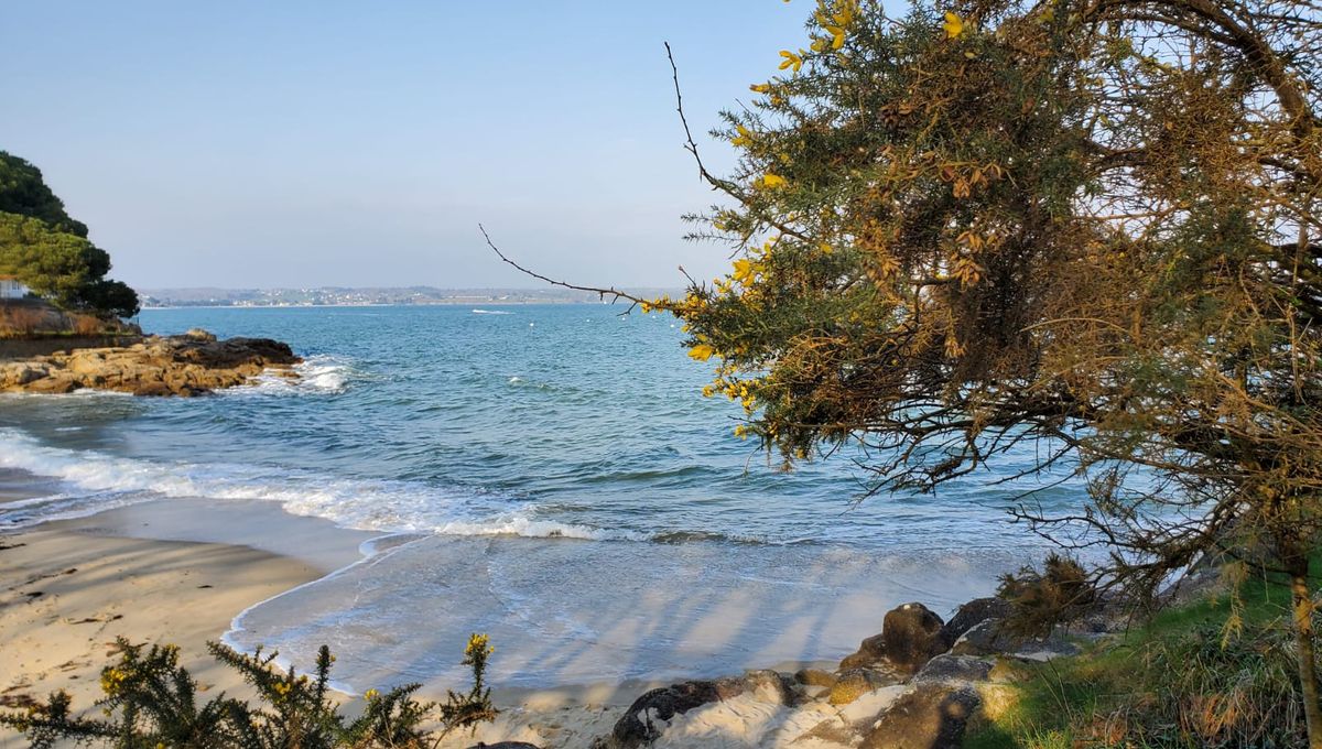 découvrez les avantages de l'ensoleillement sud-est : une exposition idéale pour les jardins, les terrasses et les espaces de vie, favorisant la croissance des plantes et créant une ambiance chaleureuse dans votre habitat.