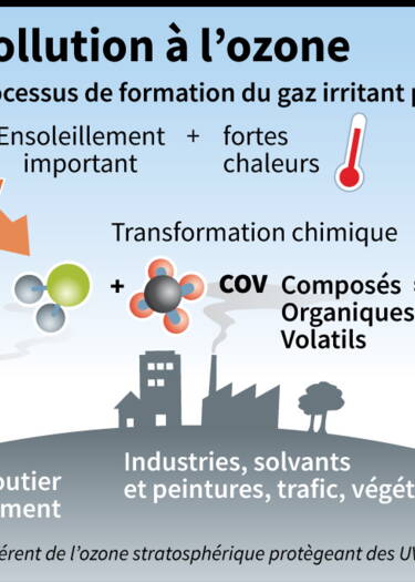 découvrez l'ensoleillement sud-est, une caractéristique clé pour optimiser votre jardin, profiter du soleil et choisir les meilleures plantes. apprenez à tirer parti de cette exposition pour créer un espace lumineux et accueillant.