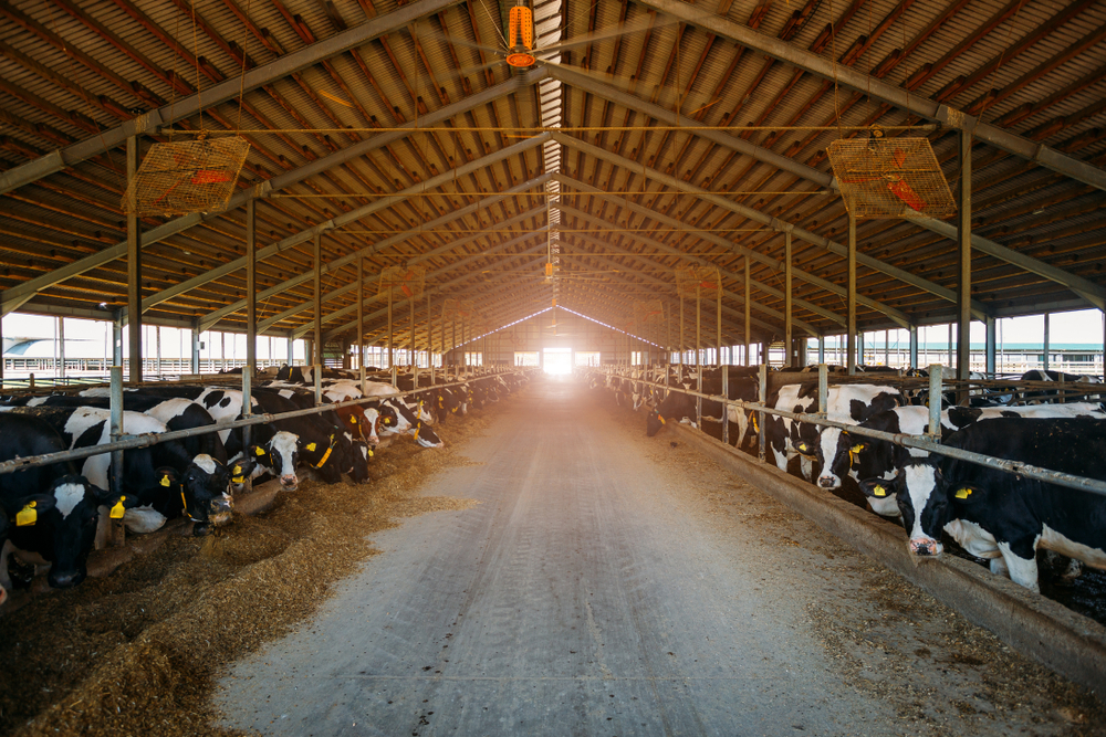 obtenez une estimation précise de votre bâtiment agricole grâce à nos experts. nous évaluons la valeur de votre structure en tenant compte de divers critères pour vous aider à prendre des décisions éclairées.