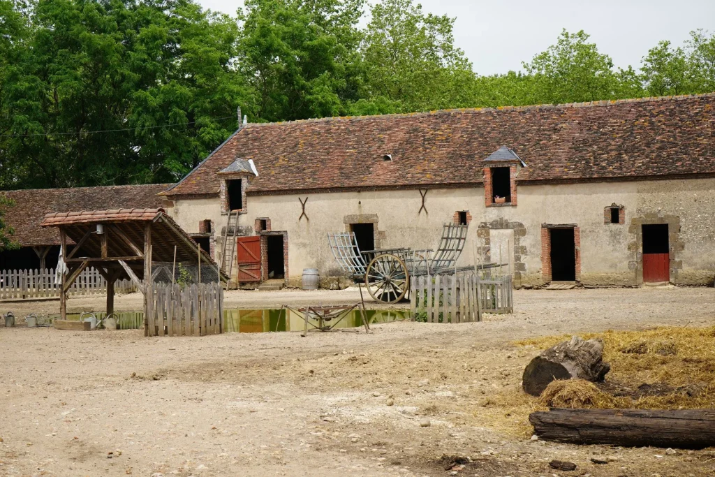 découvrez l'univers authentique de notre ferme, où la nature et la tradition se rencontrent. profitez d'une expérience unique avec des produits locaux, des animaux en liberté et des activités éducatives pour toute la famille.