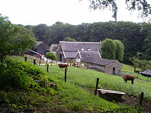 découvrez notre ferme authentique, où la nature et le travail de la terre se rencontrent. profitez d'une expérience enrichissante au cœur de la vie rurale, avec des produits locaux, des animaux en pleine santé et des activités familiales. rejoignez-nous pour un voyage fascinant au sein de notre écosystème durable.