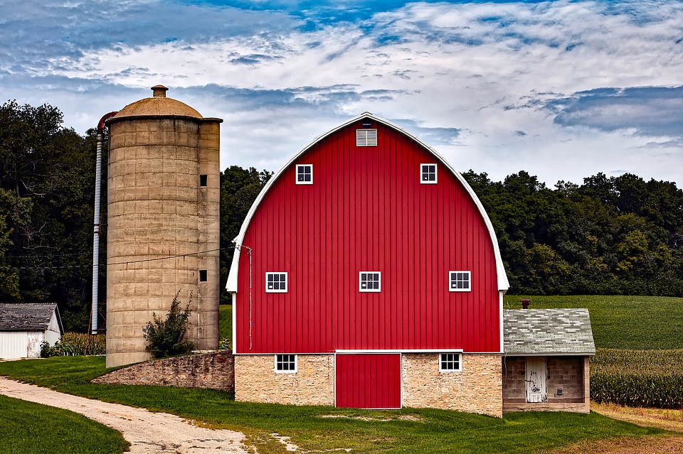 découvrez notre ferme, un lieu authentique où la nature et l'agriculture se rencontrent. explorez nos produits frais, participez à des activités en plein air et vivez une expérience unique en famille ou entre amis.