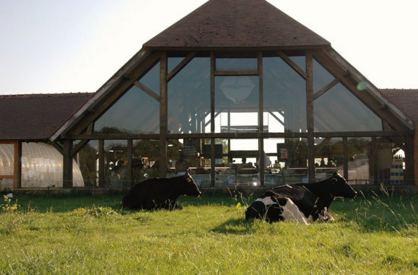découvrez l'univers authentique d'une ferme, un lieu paisible où la nature et les animaux s'épanouissent. plongez dans la vie rurale, apprenez sur l'agriculture durable et participez aux activités agricoles pour une expérience inoubliable.