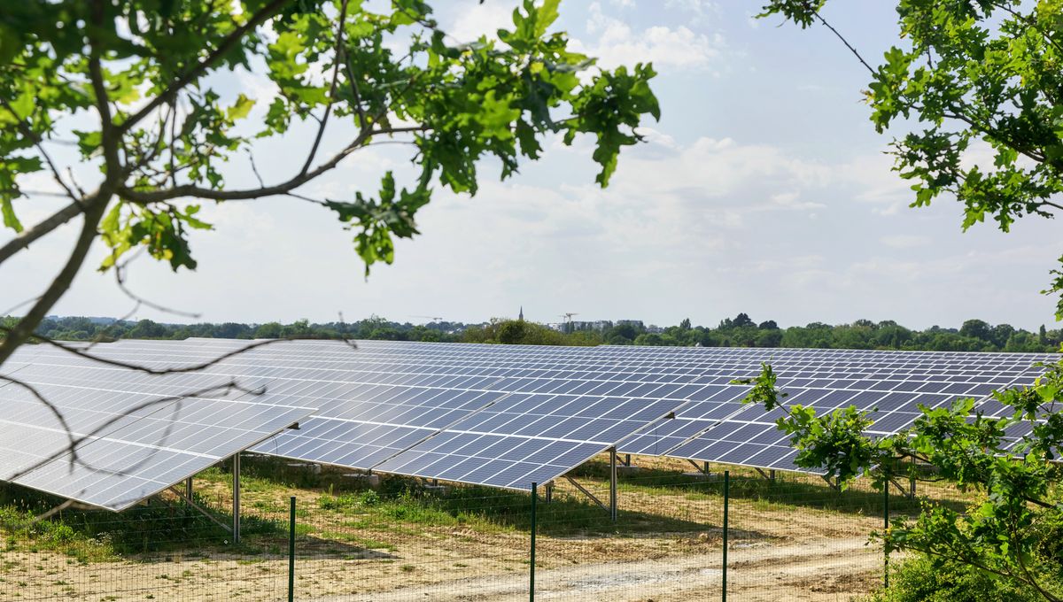 découvrez notre ferme solaire innovante qui exploite l'énergie renouvelable pour produire de l'électricité propre et durable. engagée pour l'environnement, cette installation offre une solution efficace et responsable aux défis énergétiques actuels.