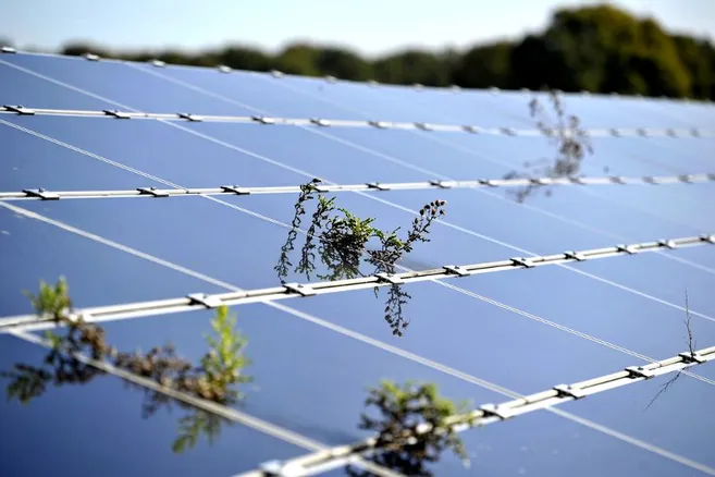 découvrez notre ferme photovoltaïque, un projet innovant et durable qui exploite l'énergie solaire pour produire de l'électricité verte. engagée dans la transition énergétique, cette installation contribue à la protection de l'environnement tout en offrant des solutions énergétiques économiquement viables.