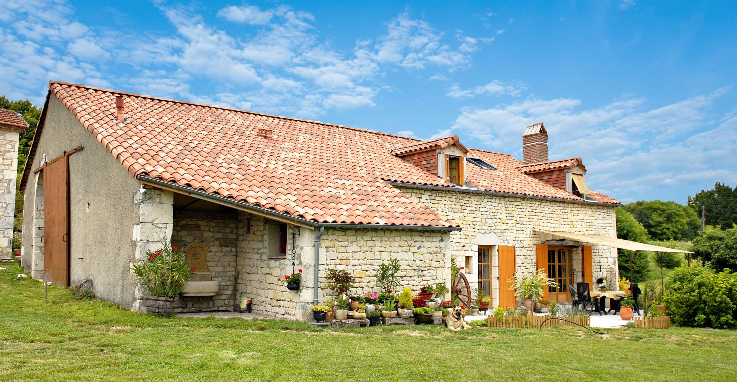 découvrez la magie de la ferme, un lieu authentique où la nature et l'élevage se rencontrent. explorez nos activités agricoles, rencontrez les animaux et savourez des produits locaux tout en vivant une expérience enrichissante en pleine campagne.