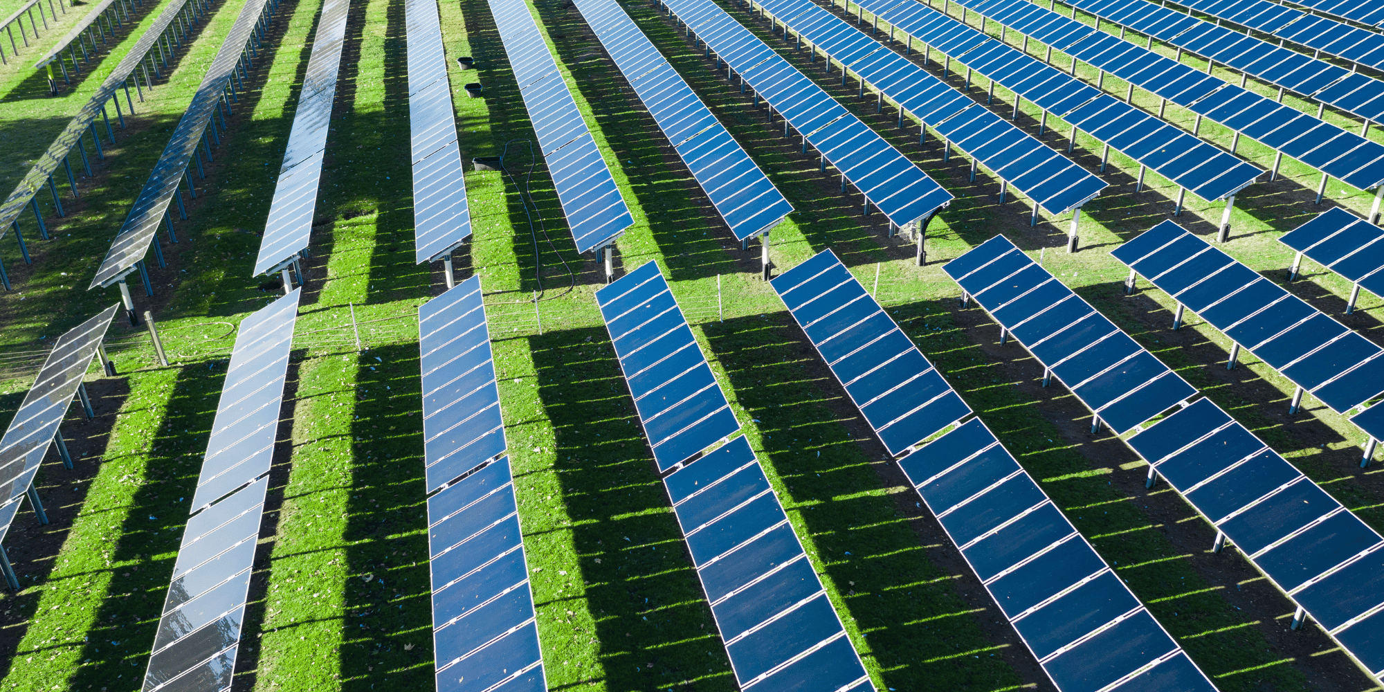 découvrez notre ferme solaire, un espace innovant dédié à la production d'énergie renouvelable. profitez d'installations modernes combinant écologie et technologie pour un avenir durable.
