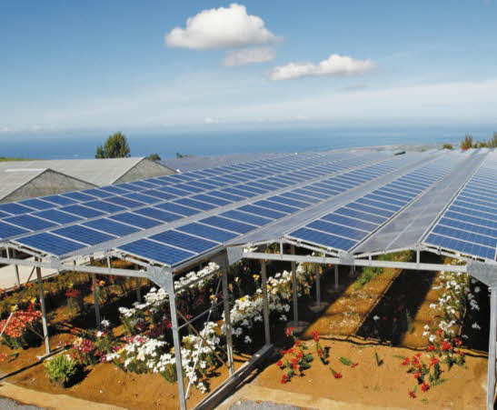 découvrez les avantages des fermes solaires, une solution durable et innovante pour produire de l'énergie propre. apprenez comment ces installations contribuent à la transition énergétique tout en préservant l'environnement.