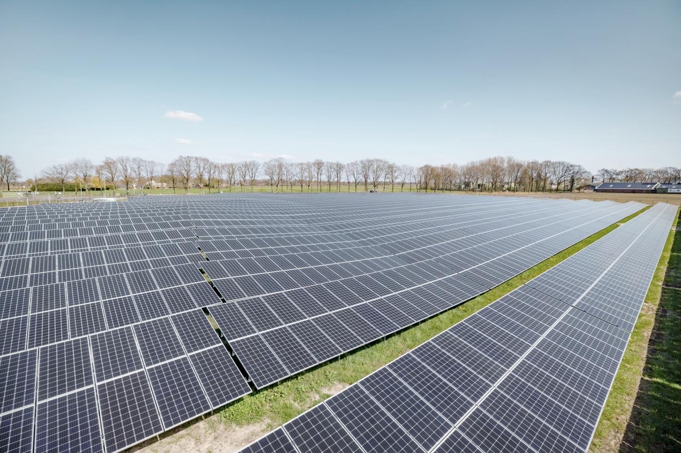 découvrez notre ferme solaire, un espace dédié à la production d'énergie renouvelable grâce à des panneaux solaires innovants. engagez-vous pour un avenir durable et respectueux de l'environnement tout en profitant des bienfaits de l'énergie propre.