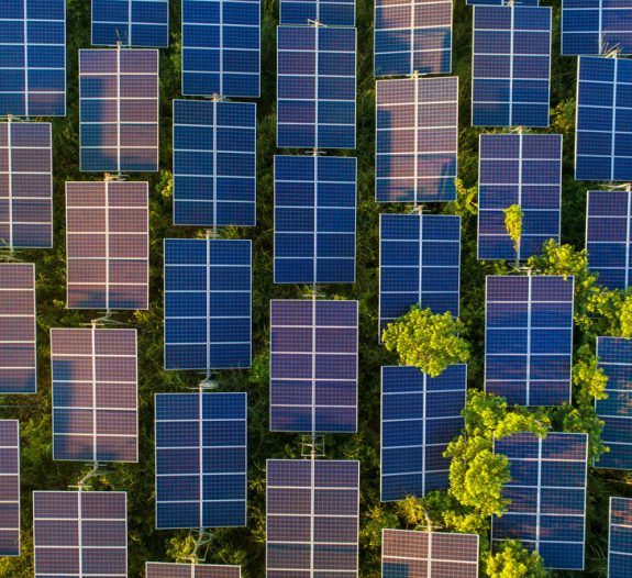 découvrez notre offre exceptionnelle de vente de ferme solaire. investissez dans une énergie renouvelable durable et rentable tout en contribuant à la préservation de l'environnement. profitez d'une solution clé en main pour valoriser vos terrains et générer des revenus stables grâce à l'énergie solaire.