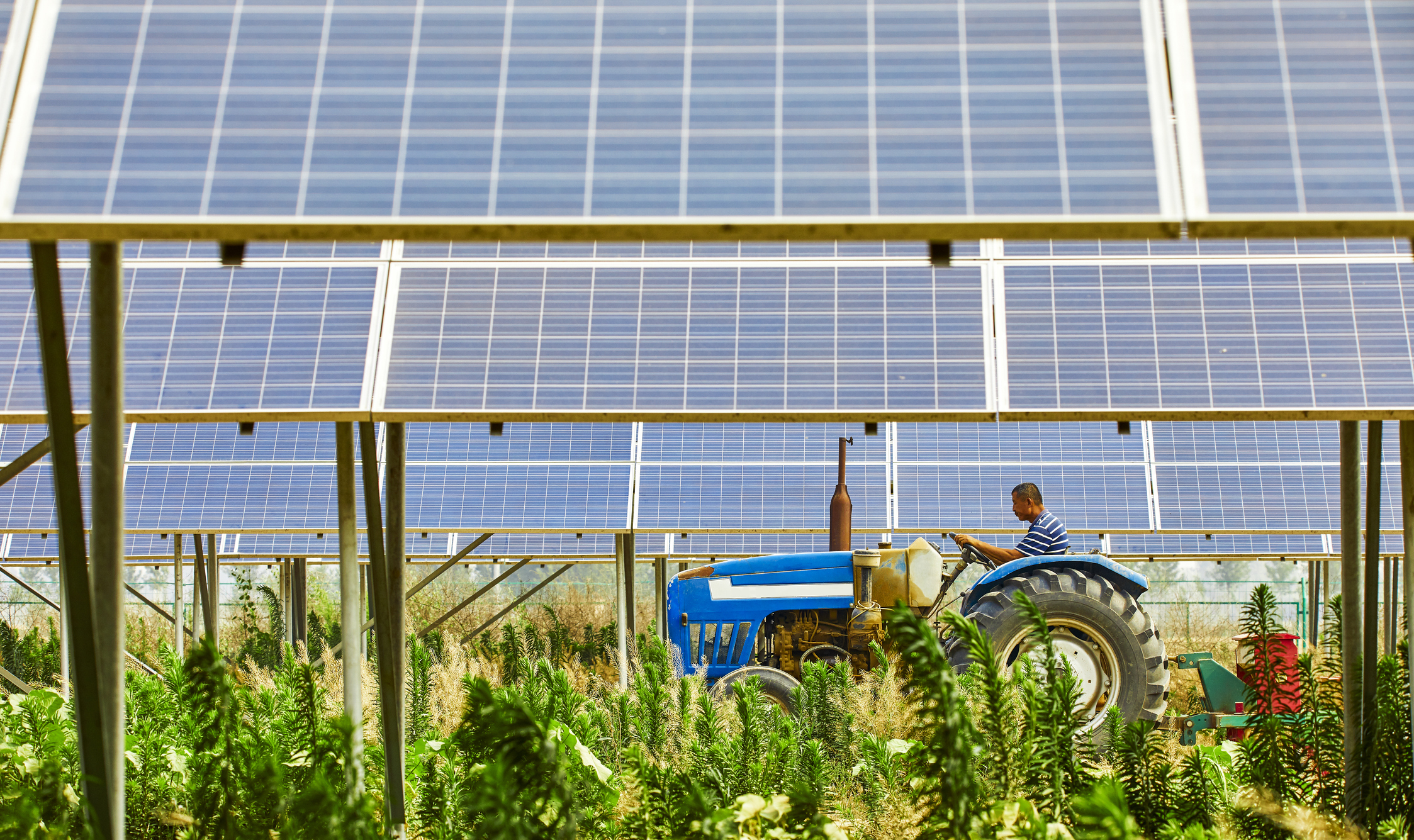 découvrez comment une ferme solaire agricole allie innovation et durabilité, transformant des terres agricoles en sources d'énergie renouvelable tout en soutenant l'agriculture locale. explorez les avantages économiques et environnementaux de ce modèle durable.