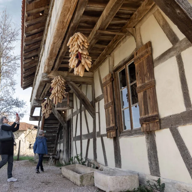 découvrez la vie à la ferme : un lieu authentique où la nature et l'agriculture se rencontrent. explorez nos produits locaux, participez à des activités de plein air et apprenez les secrets de la transformation agricole. une expérience inoubliable en harmonie avec la terre!