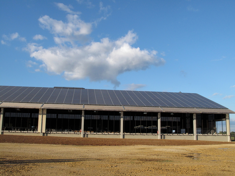 découvrez comment financer votre projet de panneaux photovoltaïques grâce à des aides gouvernementales, des prêts à taux réduit et des solutions sur mesure. investissez dans l'énergie renouvelable pour réduire vos factures d'électricité et contribuer à la protection de l'environnement.