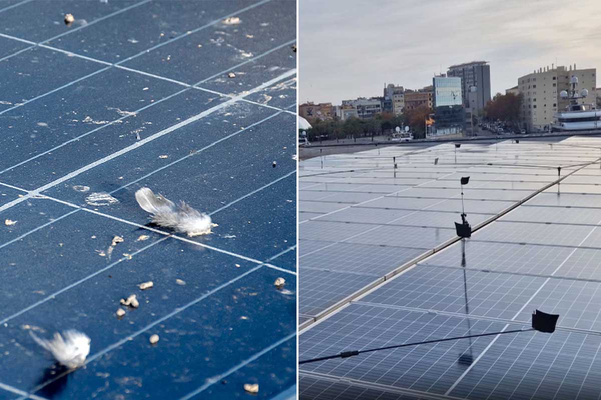découvrez notre gamme de panneaux solaires professionnels, conçus pour optimiser votre production d'énergie renouvelable. profitez d'une efficacité énergétique maximale et réduisez vos coûts d'électricité tout en respectant l'environnement. optez pour des solutions durables et performantes avec nos panneaux solaires de qualité supérieure.