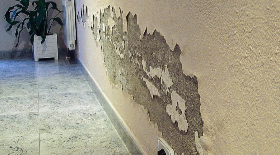 découvrez des solutions efficaces pour gérer les fuites dans votre maison. que ce soit une fuite d'eau, de gaz ou une infiltration, apprenez à identifier les causes et à protéger votre intérieur des dommages.