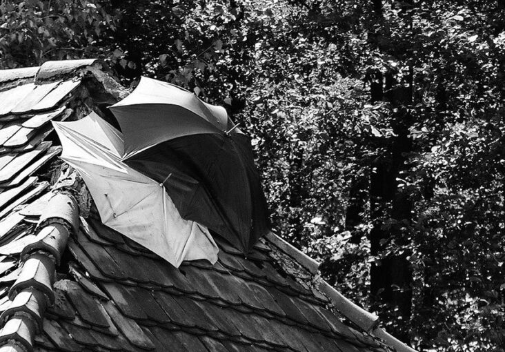 découvrez des solutions efficaces pour détecter et réparer les fuites sur votre toit. ne laissez pas l'eau endommager votre maison, agissez rapidement pour préserver votre confort et votre sécurité.