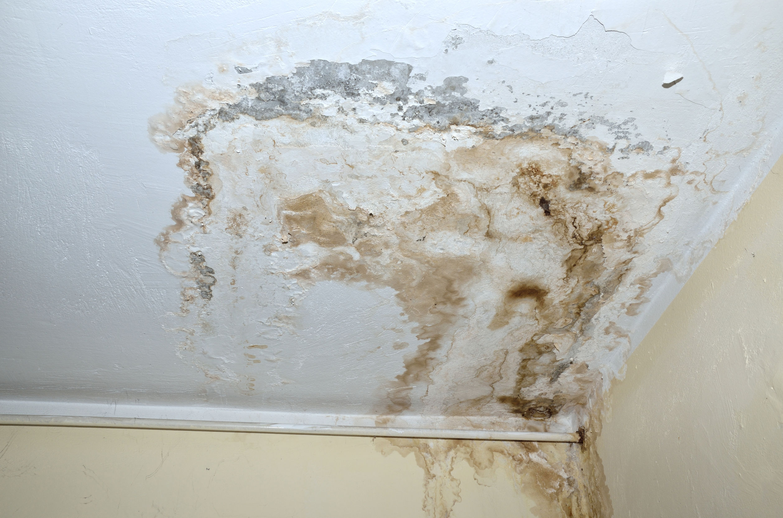 découvrez comment identifier et réparer une fuite de toiture pour protéger votre maison des dégâts d'eau. apprenez les causes courantes et les solutions efficaces pour garantir l'étanchéité de votre toit.