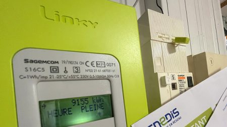 découvrez les tarifs enedis pour l'année 2025, incluant les dernières mises à jour, les offres disponibles et les conseils pour optimiser votre consommation d'électricité. restez informé des évolutions tarifaires et des impacts sur votre facture.