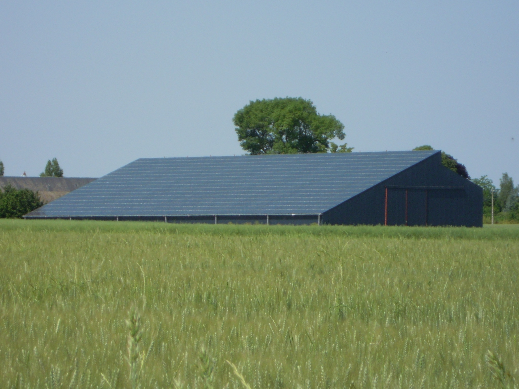 découvrez comment un hangar agricole photovoltaïque peut transformer votre exploitation en une source d'énergie renouvelable tout en optimisant l'espace. bénéficiez d'une solution durable, réduisez vos coûts énergétiques et contribuez à la transition écologique.