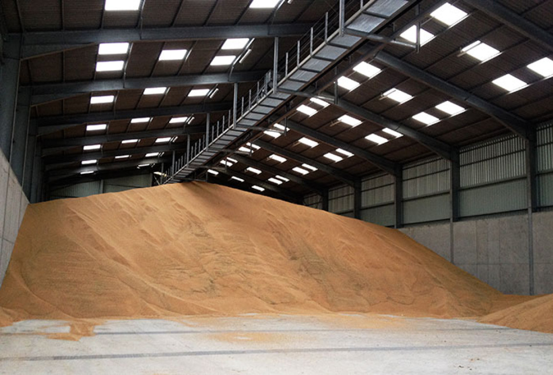 découvrez nos hangars en béton, alliant robustesse et durabilité pour tous vos besoins de stockage. idéaux pour les entreprises et les particuliers, nos structures offrent une protection optimale contre les intempéries et nécessitent peu d'entretien. optez pour une solution pratique et efficace avec nos hangars en béton sur mesure.