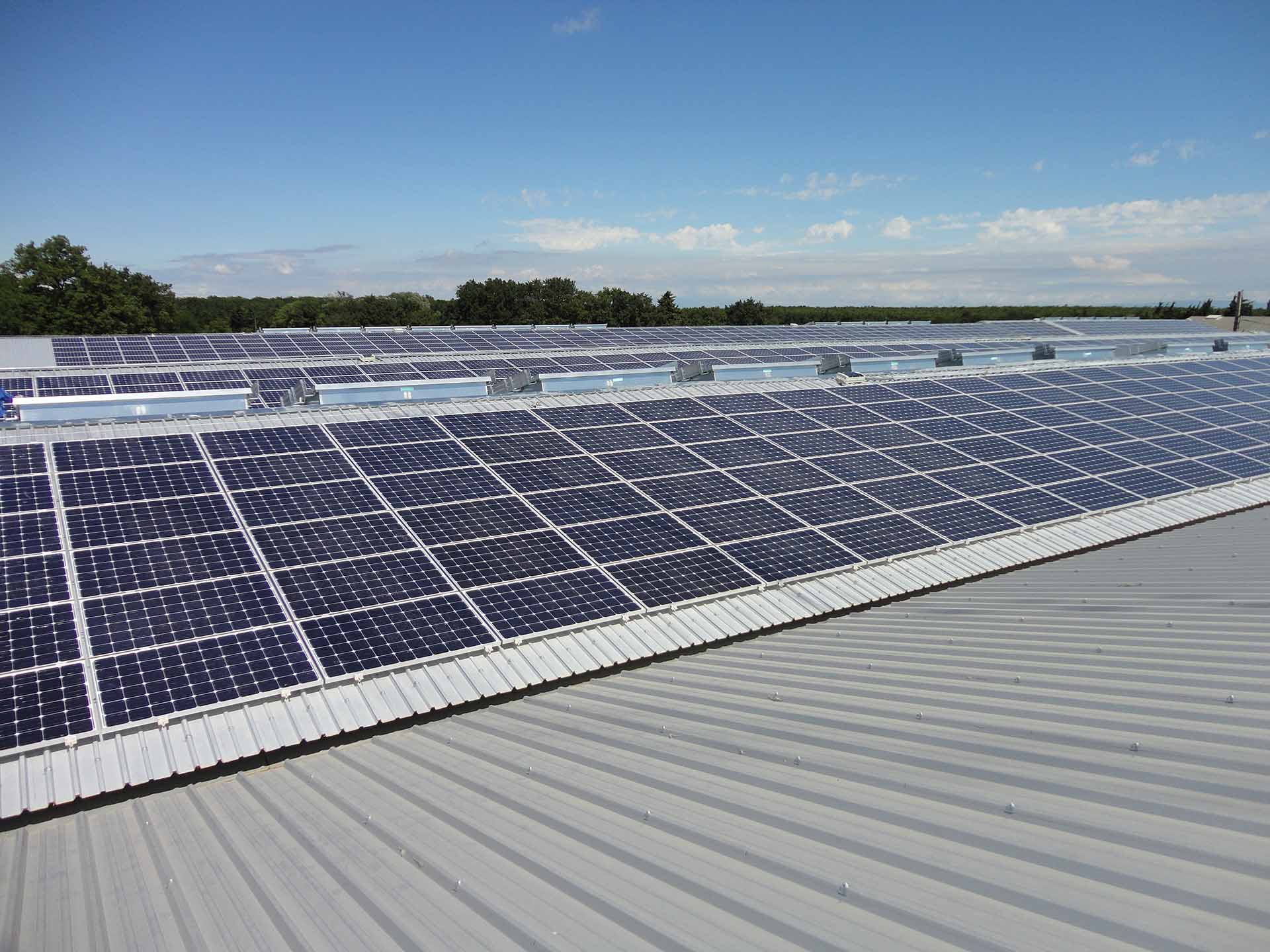 découvrez le hangar irisolaris, un espace innovant dédié aux solutions énergétiques solaires. ce lieu allie technologie, écologie et performance pour répondre à vos besoins en énergie renouvelable.