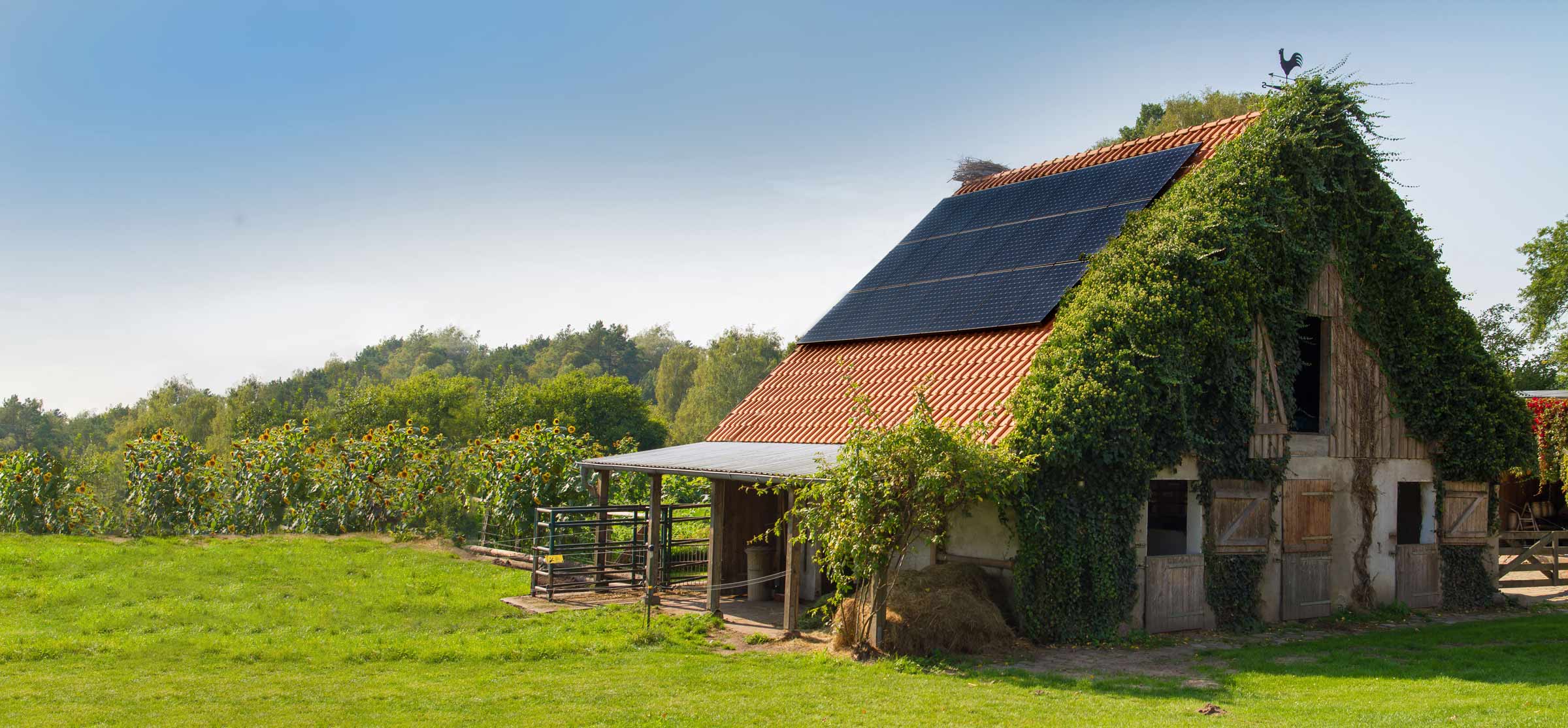 découvrez le hangar irisolaris, un espace innovant dédié aux solutions d'énergie solaire. idéal pour les professionnels et particuliers, ce hangar offre des infrastructures modernes pour optimiser vos projets écologiques tout en garantissant un environnement de travail pratique et fonctionnel.