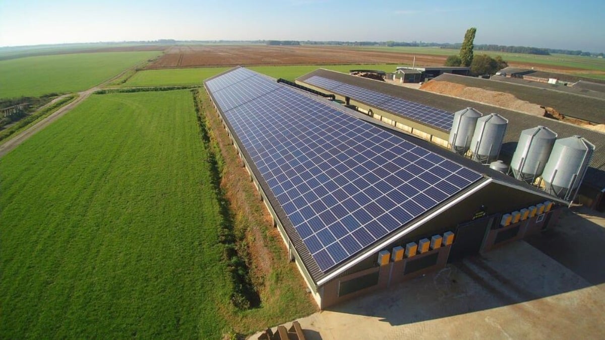 découvrez notre hangar solaire innovant, conçu pour optimiser l'utilisation de l'énergie solaire tout en offrant un espace de stockage sécurisé et durable. idéal pour les projets écologiques, ce hangar allie fonctionnalité et respect de l'environnement.