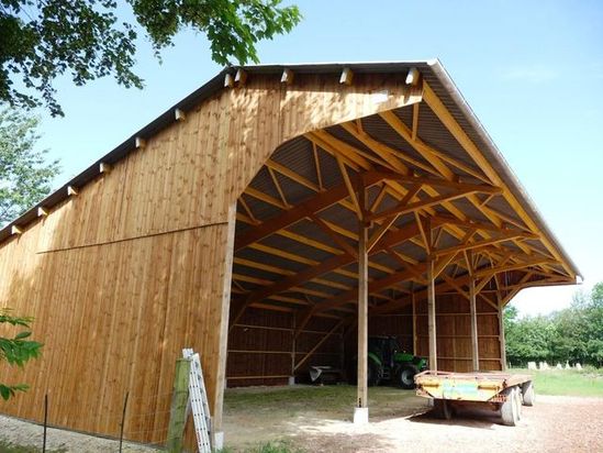 découvrez notre sélection de hangars en bois, alliant chaleur et authenticité. parfaits pour le stockage, l'abri des animaux ou un espace de loisirs, nos hangars sont conçus pour résister aux intempéries tout en ajoutant une touche naturelle à votre jardin.