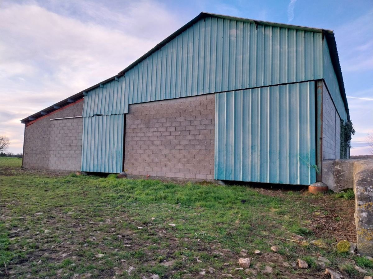 découvrez notre hangar idéal pour le stockage de vos biens sur un terrain spacieux. parfait pour les professionnels et les particuliers, ce hangar offre une solution pratique et sécurisée pour tous vos besoins de rangement. profitez d'un espace polyvalent et facilement accessible.