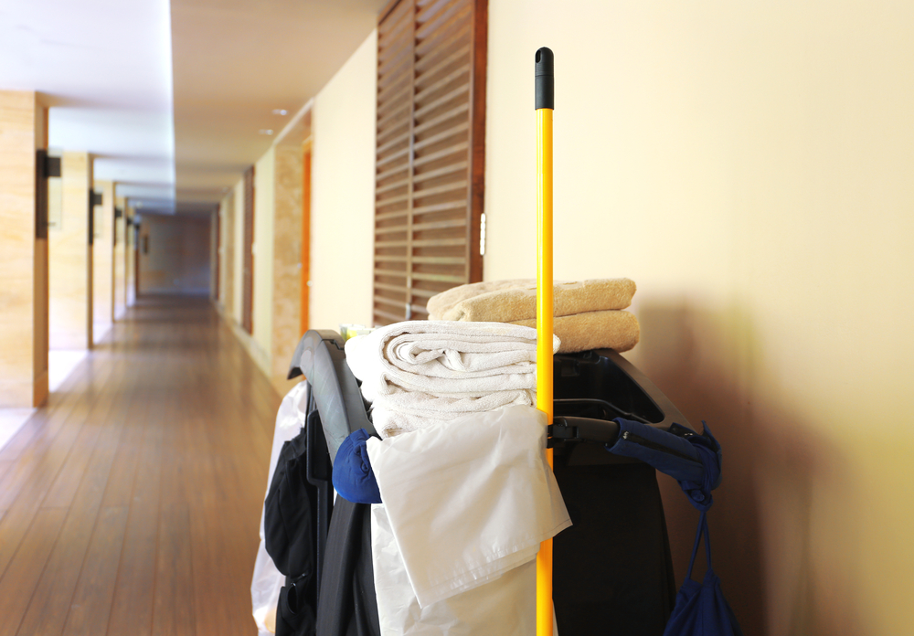 découvrez l'univers de l'hôtellerie avec nos conseils, astuces et tendances pour faire de votre établissement un véritable succès. explorez des stratégies innovantes, des idées de décoration et des recommandations pour offrir une expérience inoubliable à vos clients.