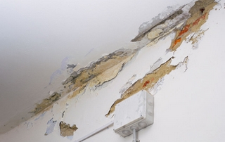 découvrez comment identifier et résoudre les problèmes d'infiltration d'eau dans votre maison. protégez vos murs et fondations grâce à nos conseils pratiques et solutions efficaces pour prévenir les dégâts d'eau.