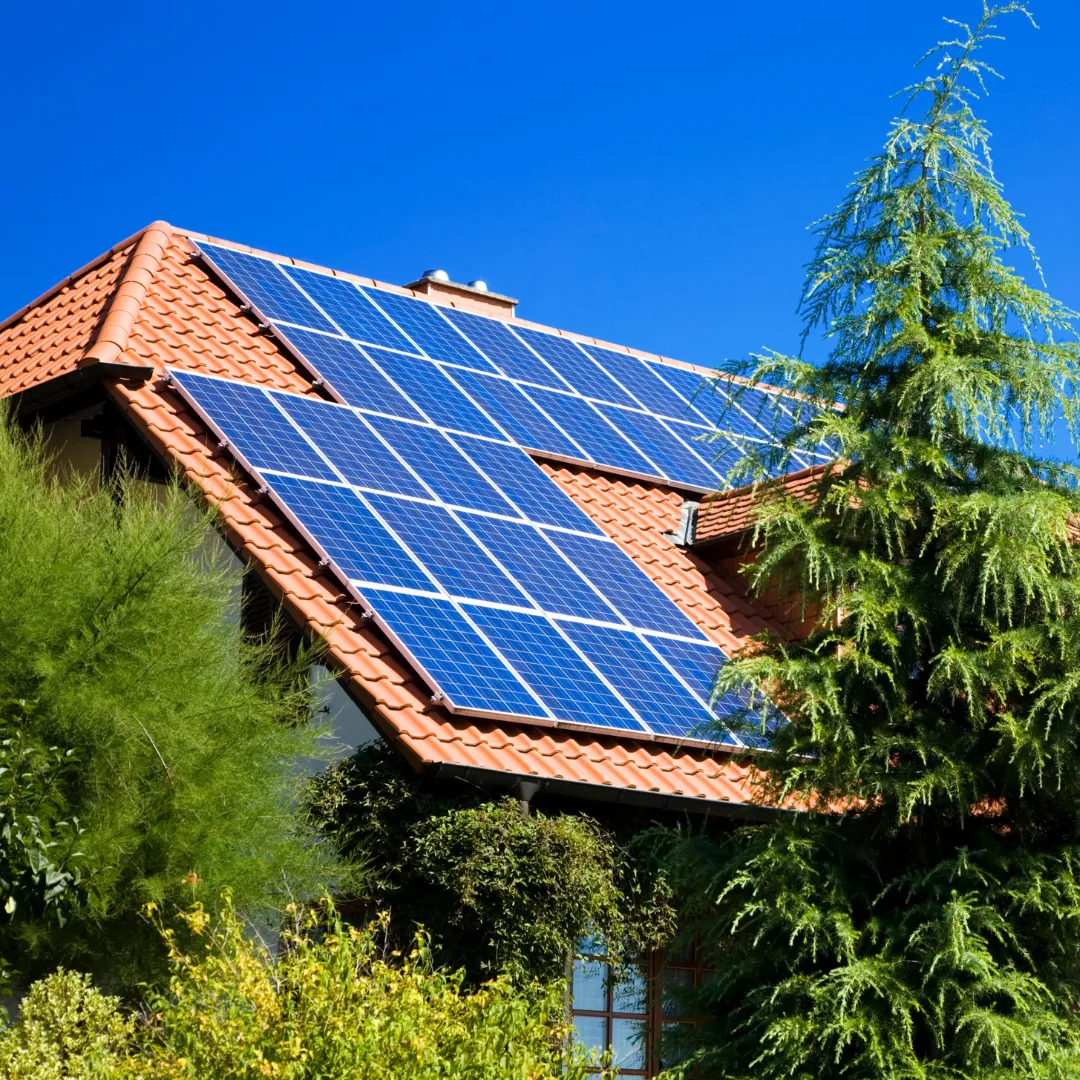 découvrez comment investir dans l'énergie solaire et profiter des avantages d'une source d'énergie renouvelable. maximisez vos économies tout en contribuant à la protection de l'environnement grâce à des solutions solaires efficaces et durables.