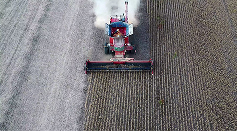découvrez nos solutions d'isolant agricole, conçues pour améliorer l'efficacité énergétique de vos installations tout en protégeant vos cultures. offrez à votre exploitation agricole une isolation performante et durable pour un confort optimal et des économies d'énergie.