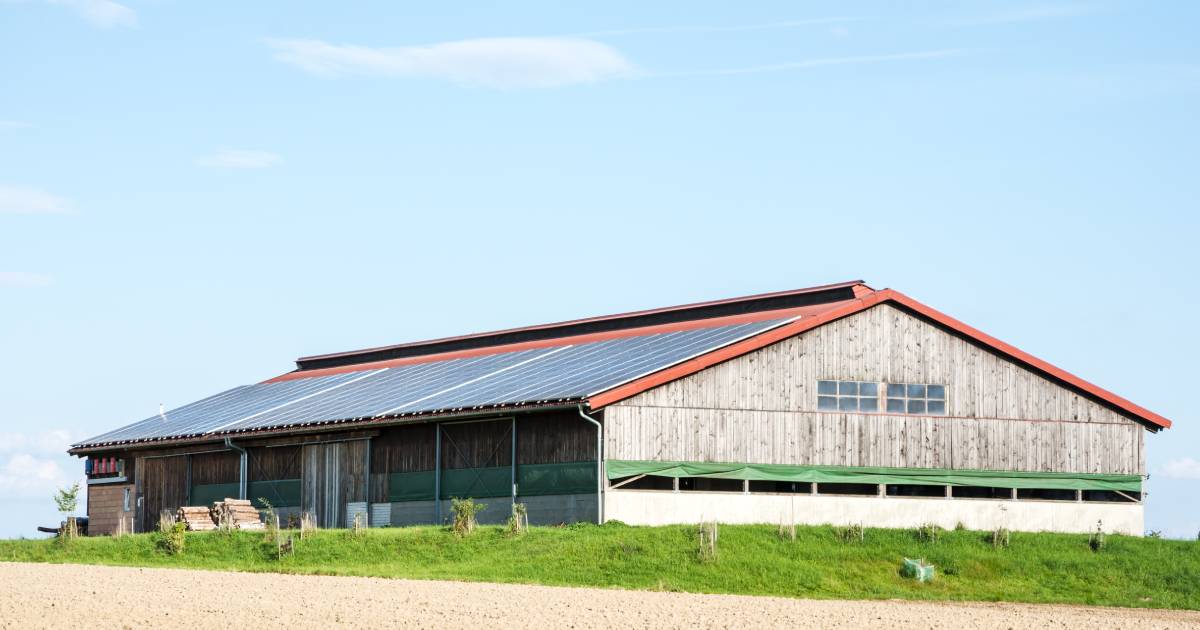 découvrez l'importance de l'isolation agricole pour améliorer le confort des animaux et optimiser les rendements. apprenez les techniques et matériaux adaptés pour une gestion efficace de l'énergie dans vos bâtiments agricoles.
