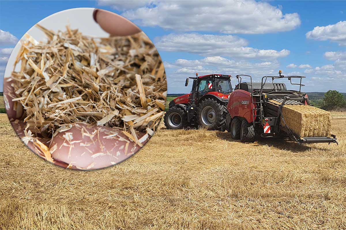 découvrez l'importance de l'isolation agricole pour améliorer le confort des animaux, réduire les coûts énergétiques et optimiser la production. informez-vous sur les techniques modernes et les matériaux durables qui transforment le secteur agricole.