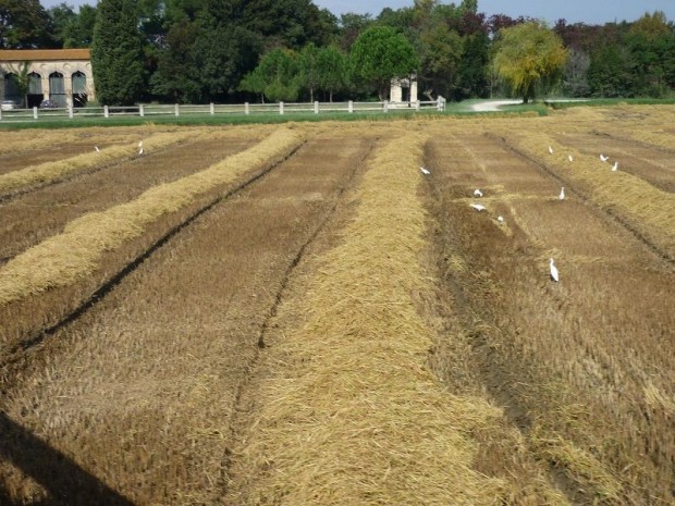 découvrez l'importance de l'isolation agricole pour optimiser le confort des animaux et améliorer les performances énergétiques de vos bâtiments. explorez nos solutions innovantes et durables pour une agriculture responsable et efficace.