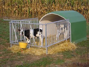 découvrez notre kit abri bovin, conçu pour offrir un refuge sécurisé et confortable à vos animaux. facile à installer et adapté aux besoins des éleveurs, ce kit garantit le bien-être de vos bovins tout en les protégeant des intempéries. optez pour une solution durable et efficace pour votre élevage.