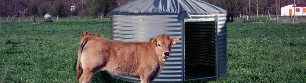 découvrez notre kit abri bovin, conçu pour offrir un refuge confortable et sécurisé à vos animaux. facile à installer et durable, il protège vos bovin des intempéries tout en garantissant leur bien-être. idéal pour les éleveurs soucieux de la santé de leur troupeau.