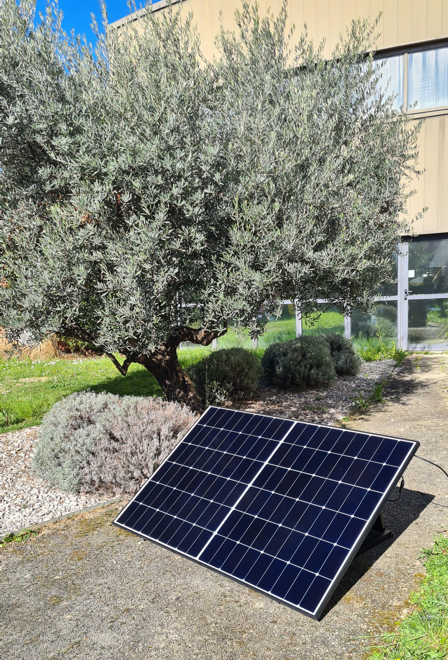 découvrez notre kit solaire plug and play, la solution idéale pour alimenter vos espaces extérieurs en toute simplicité. facile à installer, ce système autonome vous permet de profiter de l'énergie solaire sans tracas. écologique et économique, il est parfait pour vos besoins énergétiques quotidiens.