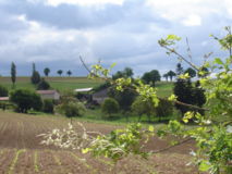 découvrez nos offres de location agricole adaptées à vos besoins. profitez de terrains cultivables, installations agricoles et services professionnels pour optimiser votre activité. contactez-nous dès aujourd'hui pour en savoir plus !