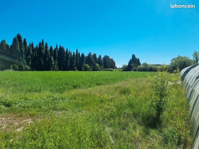découvrez notre sélection de terrains agricoles à vendre, idéaux pour vos projets d'exploitation. profitez d'espaces cultivables, facilement accessibles et entourés de paysages pittoresques. investissez dans l’avenir de l'agriculture !