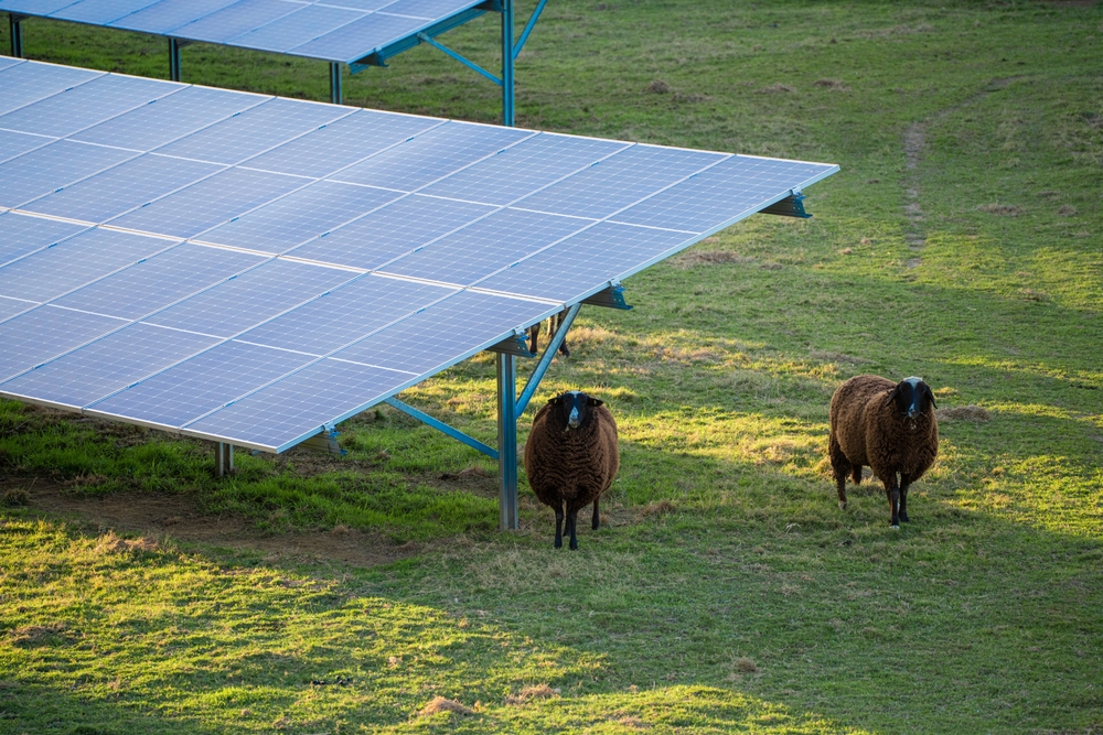 découvrez notre service de location de terrains photovoltaïques, idéal pour développer vos projets d'énergie solaire. profitez d'une gestion simplifiée et d'une rentabilité accrue grâce à des emplacements stratégiques adaptés à vos besoins.