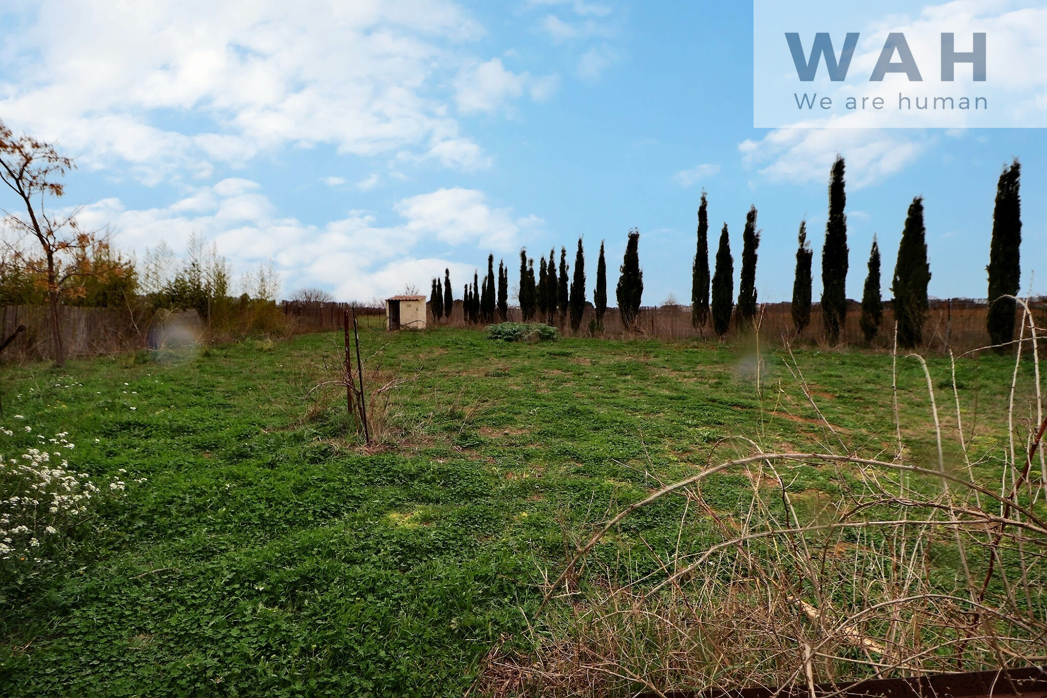 découvrez nos solutions de hangars agricoles dans l'hérault, idéales pour protéger vos cultures et équipements. des structures robustes et adaptées à vos besoins, alliant qualité et durabilité. contactez-nous pour un devis personnalisé.