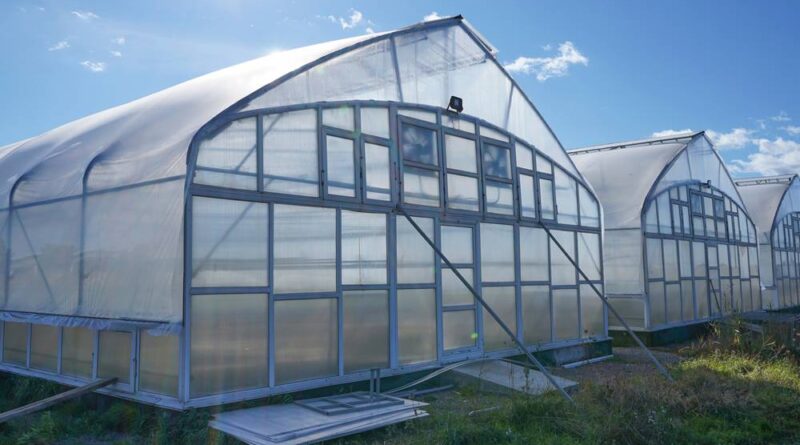 découvrez comment maximiser votre production avec une serre agricole. apprenez les avantages, les types disponibles et nos conseils pour choisir la serre idéale adaptée à vos besoins de jardinage et d'agriculture durable.