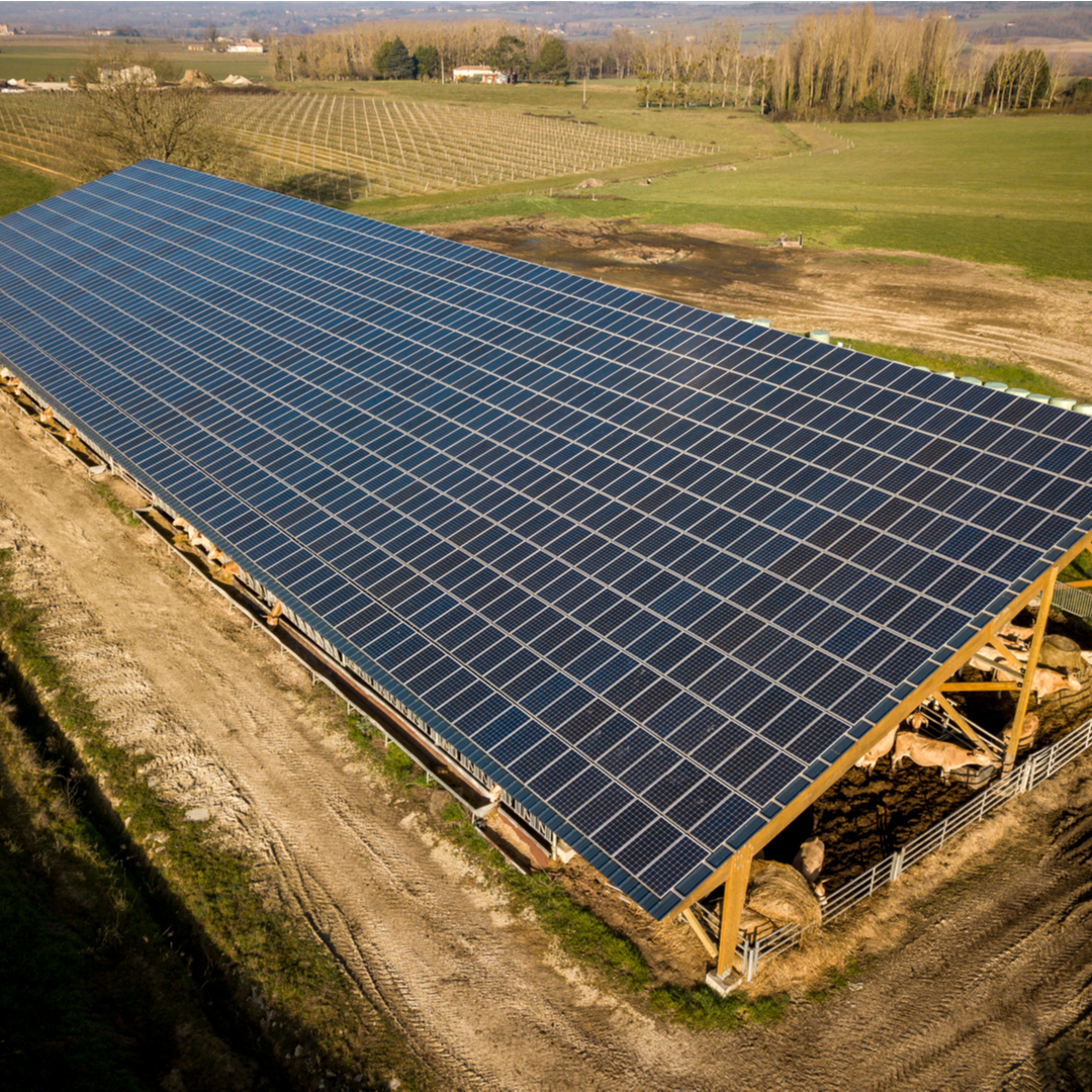 découvrez nos terrains agricoles en région paca, idéaux pour vos projets agricoles. profitez d'un climat favorable, de terres fertiles et d'un accès à des infrastructures de qualité pour développer votre exploitation. investissez dans l'agriculture durable au cœur de la provence-alpes-côte d'azur.