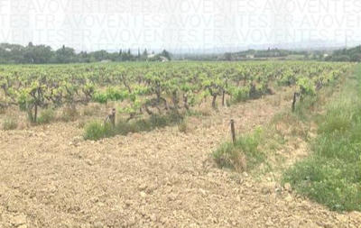 découvrez nos offres de location de terres agricoles en vaucluse, idéales pour vos projets d'agriculture biologique ou traditionnelle. profitez d'un cadre naturel exceptionnel et d'un accès à des ressources variées pour faire prospérer vos cultures.