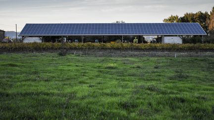 découvrez la législation actuelle concernant les panneaux solaires en france. informez-vous sur les aides financières, les normes d'installation et les droits des consommateurs pour maximiser votre projet d'énergie renouvelable.
