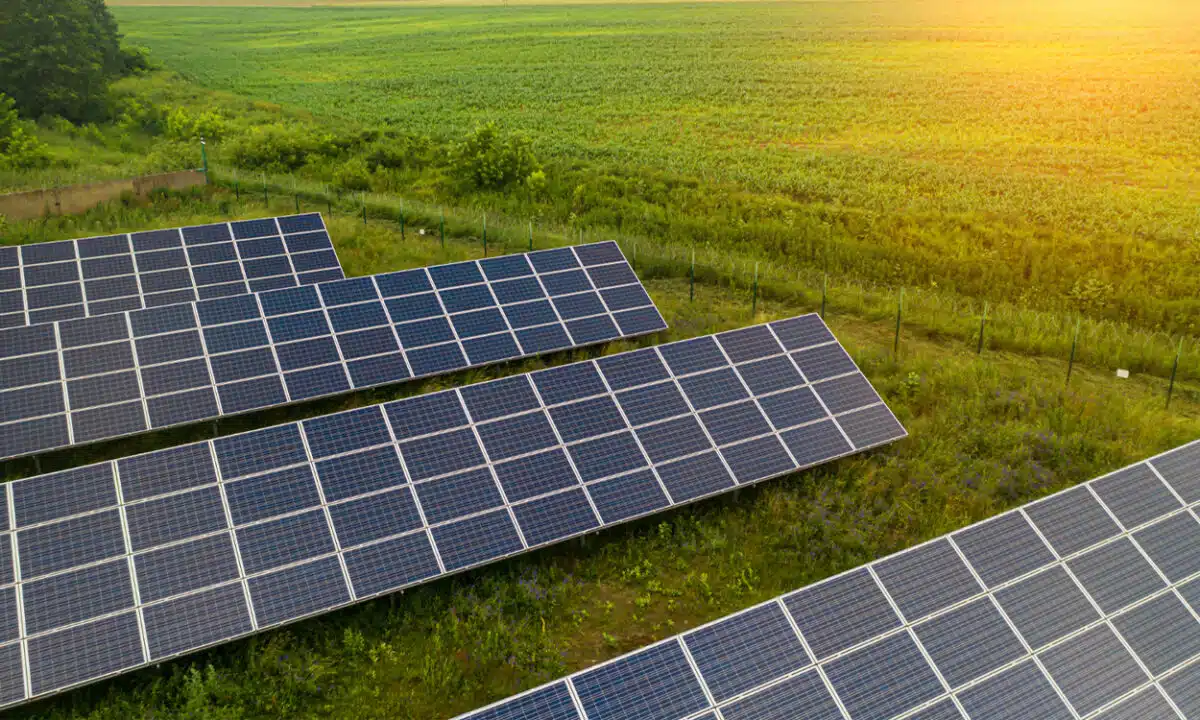 louez un terrain photovoltaïque et devenez acteur de la transition énergétique. maximisez vos revenus tout en contribuant à la production d'énergie verte. découvrez nos offres sur mesure pour un investissement durable et rentable.