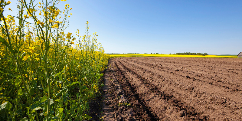 découvrez nos offres de location de terrains solaires pour apporter une solution d'énergie renouvelable à votre projet. maximisez votre investissement tout en contribuant à la transition énergétique.